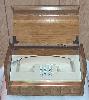 Western Electric Chest Antique Telephones